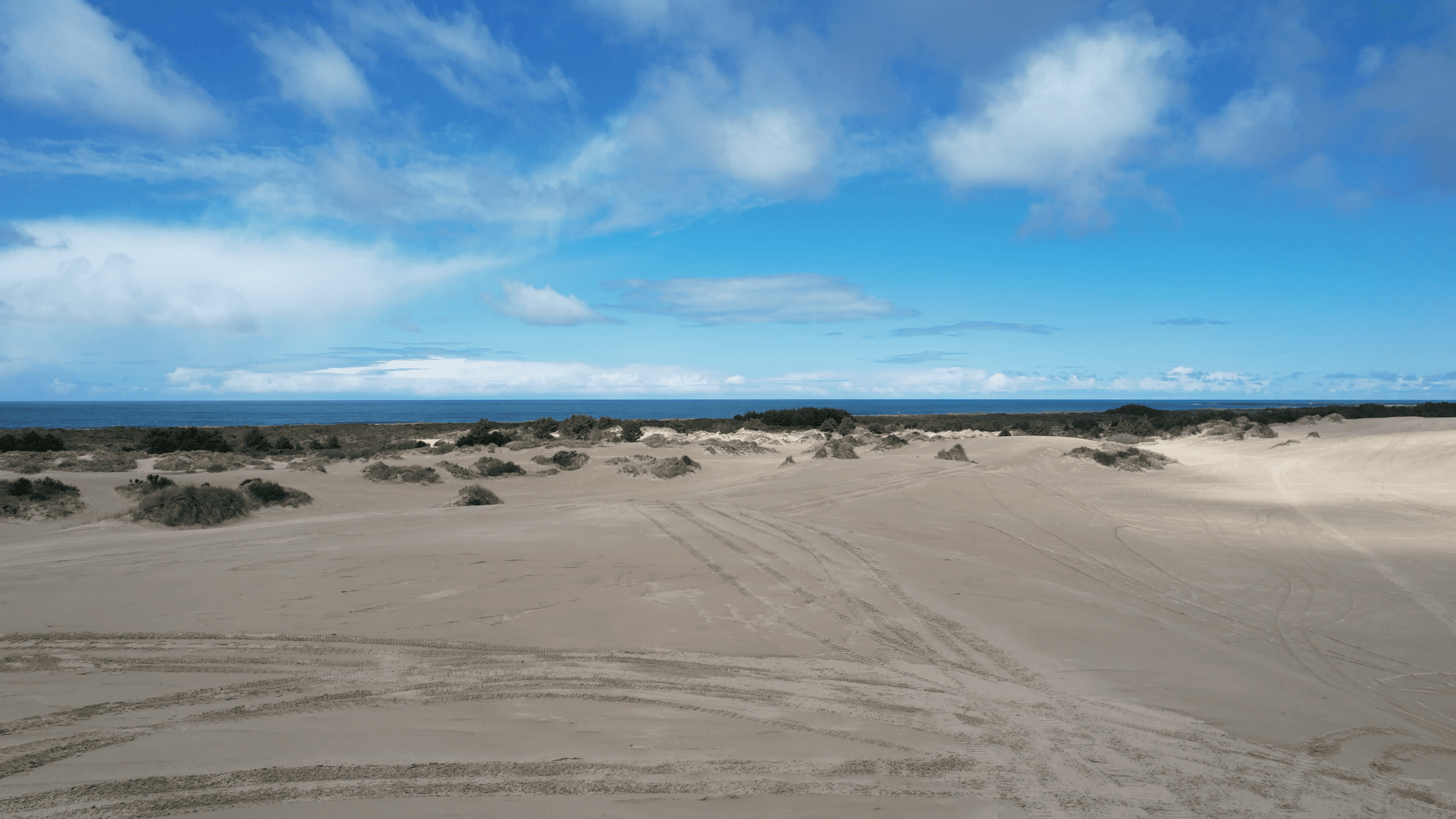 Duinen en zee