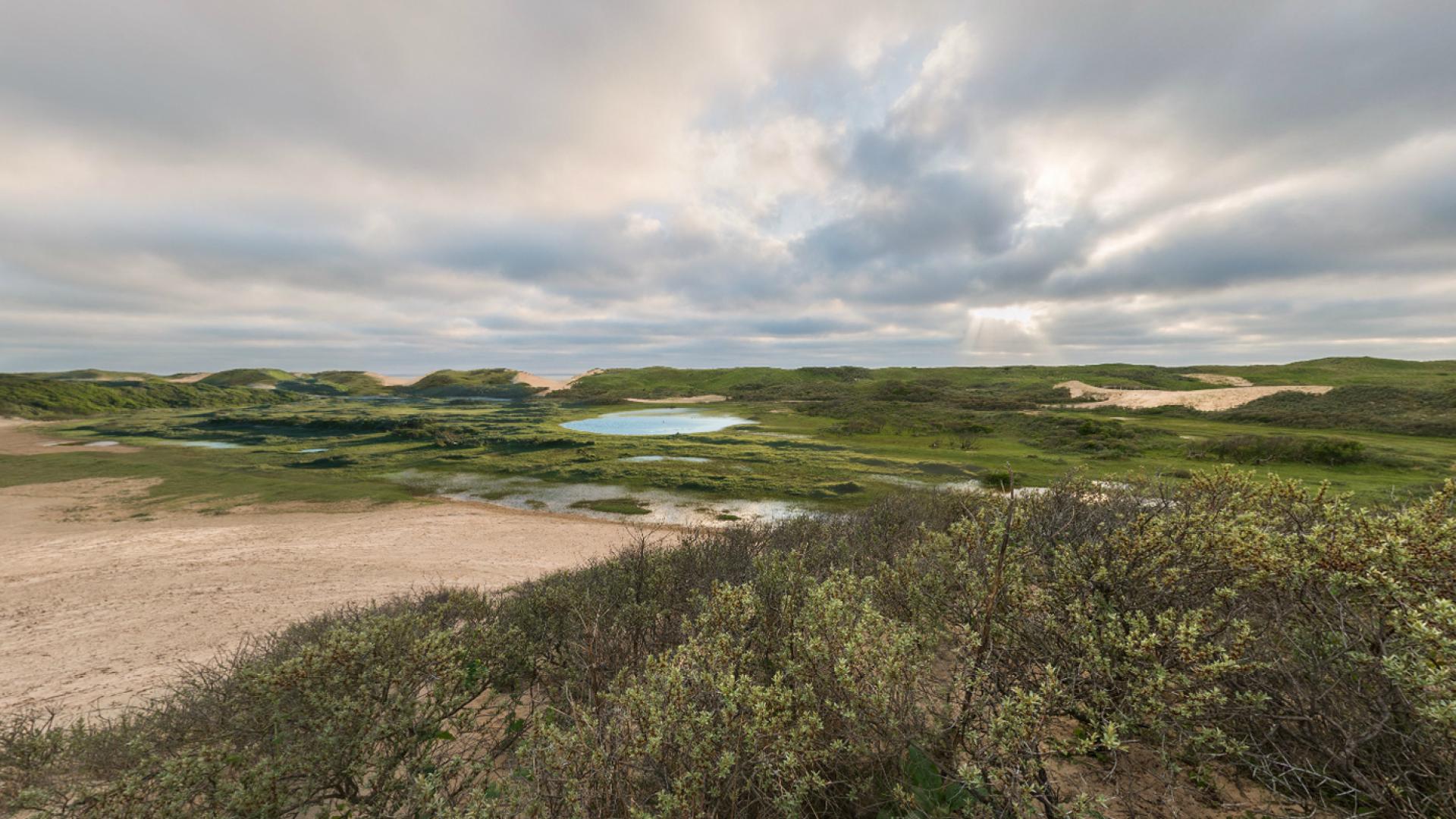 Uitzicht op de Noordwest Natuurkern
