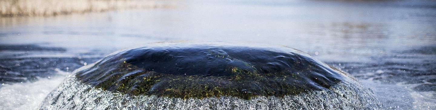De waterinlaat in het infiltratiegebied Castricum