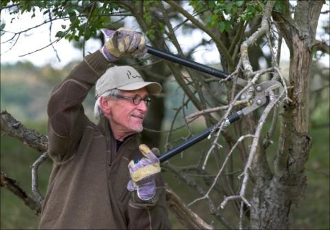 Vrijwilliger Cor takkenschaar