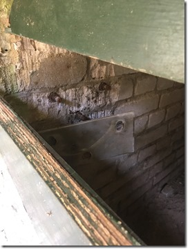 Vijgedal vleermuizen 2