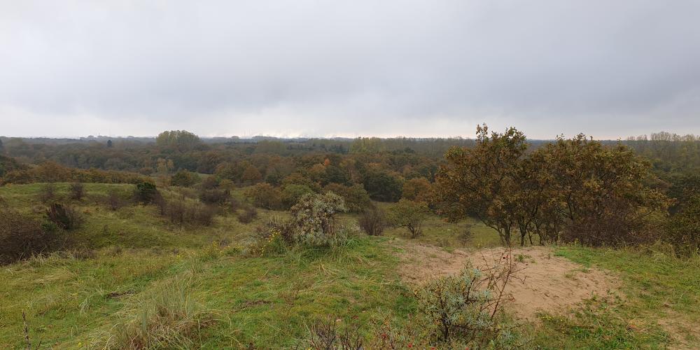 Uitzicht vanaf uitkijkpunt de Papenberg