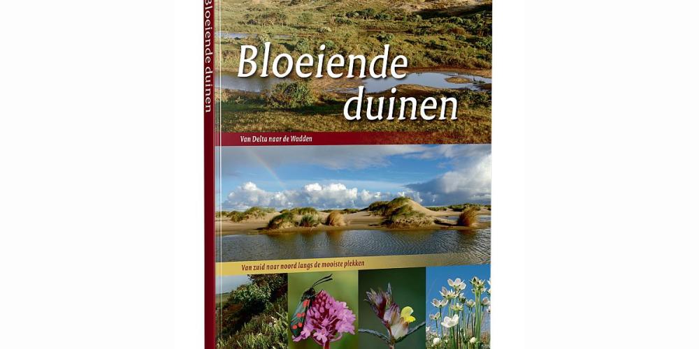 3d-bloeiende-duinen.jpg