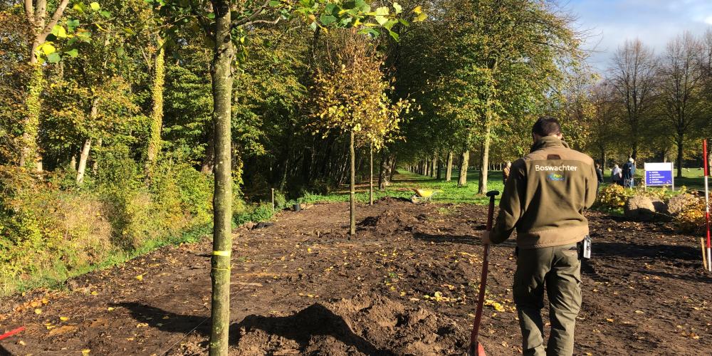 Aanplant bomen oprijlaan Marquette boswachter met schep