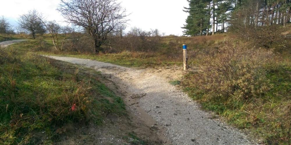 blauwe_wandelroute_npzk.jpg