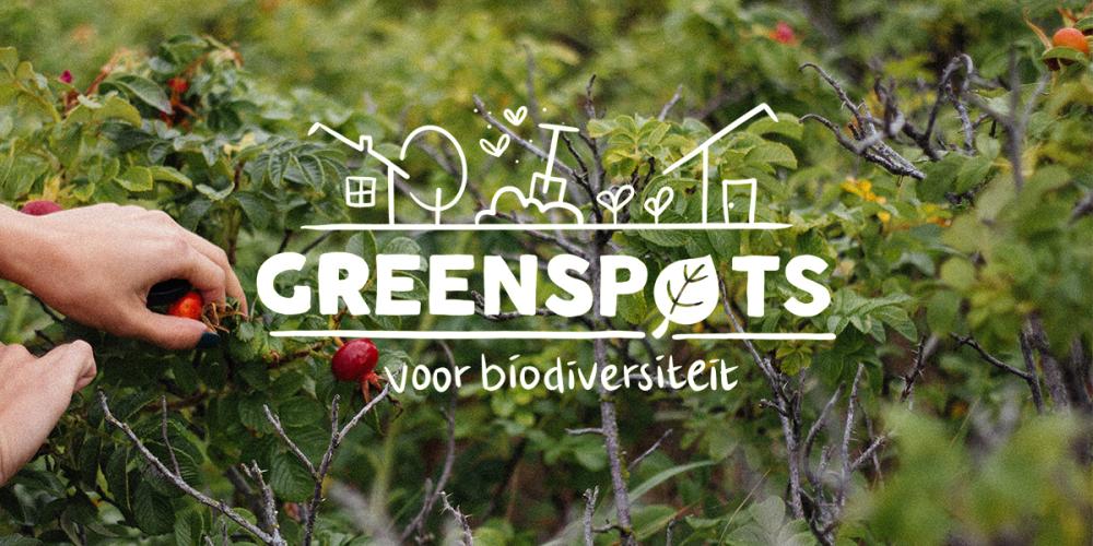 logo greenspots met foto op de achtergrond van rozenbottel