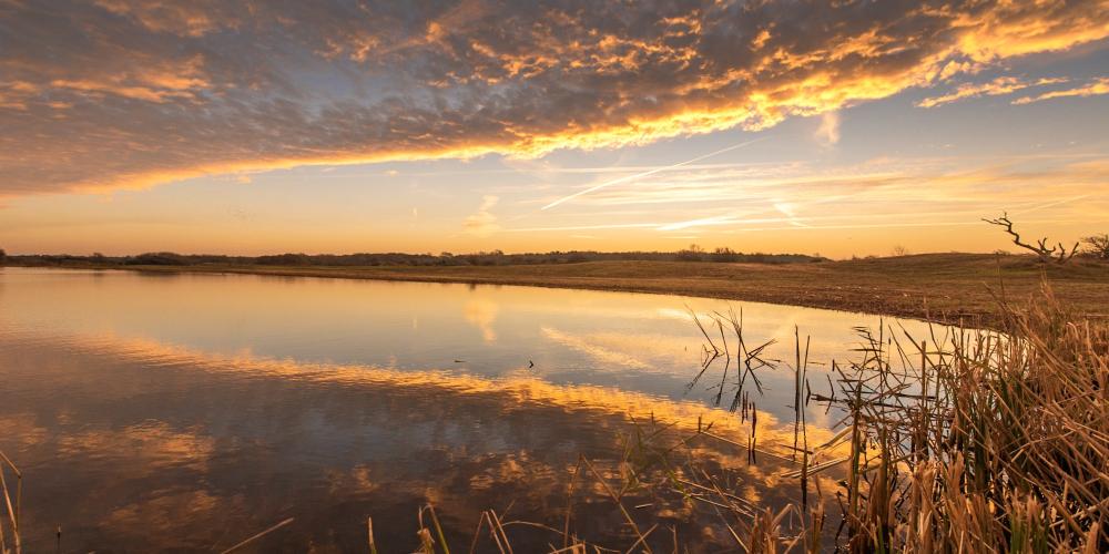 Infiltratiegebied Castricum met laaghangende zon