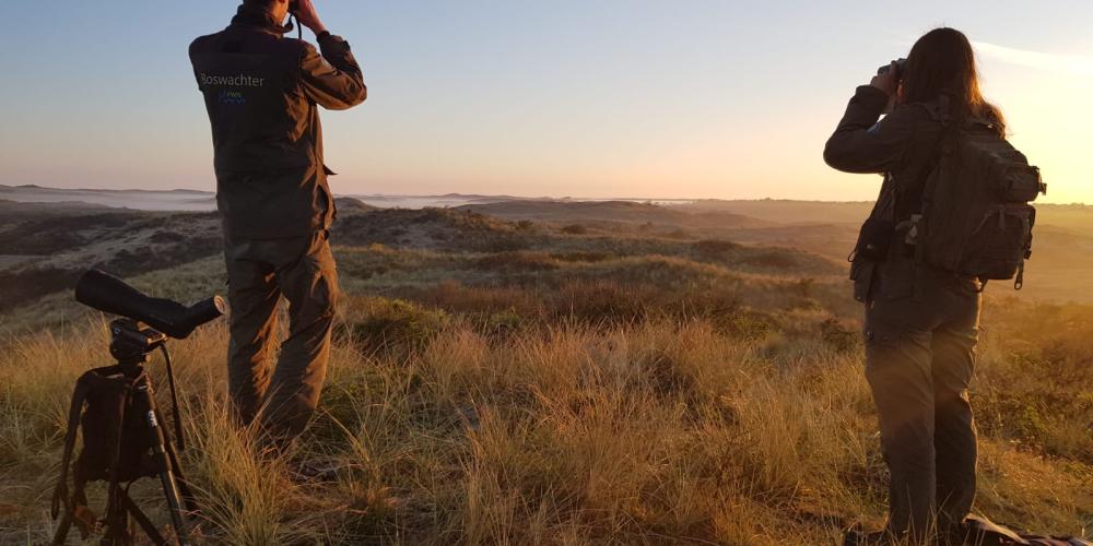 Twee boswachters kijken met verrekijker uit over het zonovergoten duinlandschap