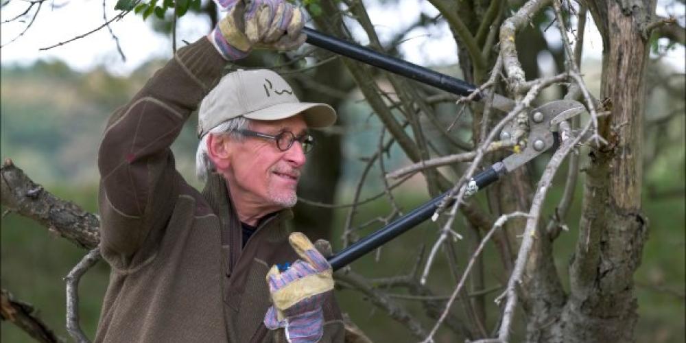 Vrijwilliger Cor takkenschaar