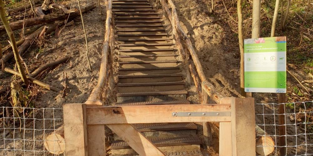 Hek bij trap Papenberg Castricum