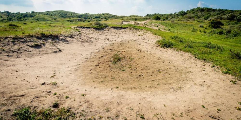 Stuifkuil in het duin, open plek zand