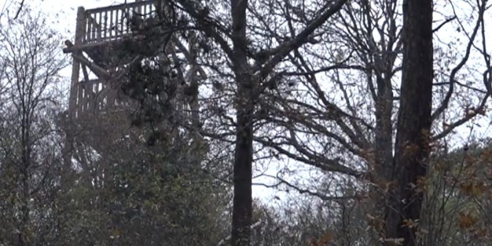 Uitkijktoren Heemskerk komt bijna niet over de bomen uit