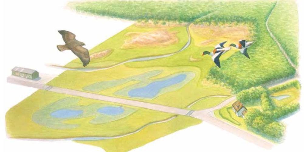 Zanderij in vogelvlucht